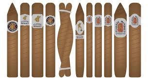 The Evolution of Cigar Shapes: How Form Affects Function and Flavor