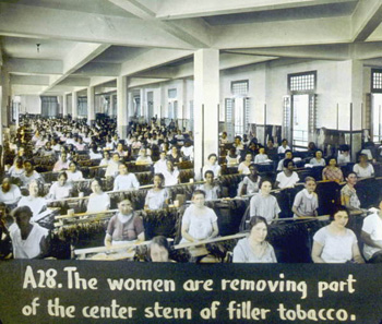 Women and the Cigar Industry