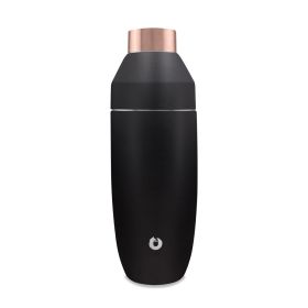 Black Stainless Steel Cocktail Shaker