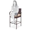Patio Wicker Bar Stool Set (2)